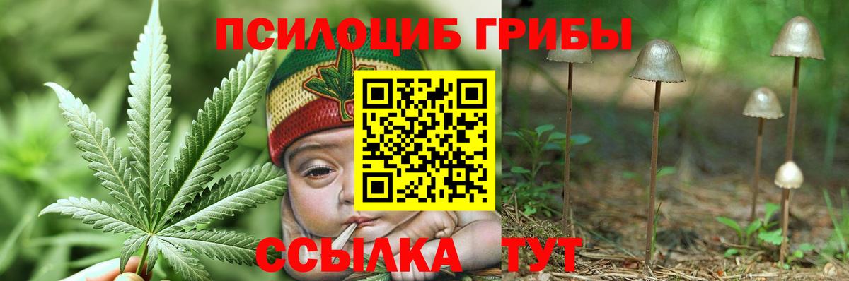 Псилоцибиновые грибы мицелий  Вход с VPN  Ковров 