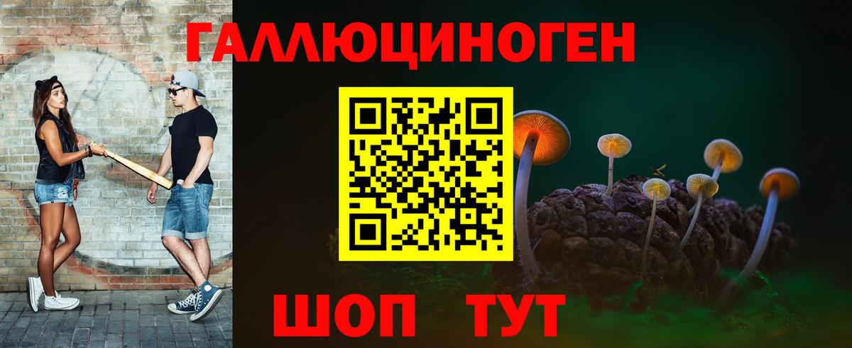 Псилоцибиновые грибы прущие грибы Ковров